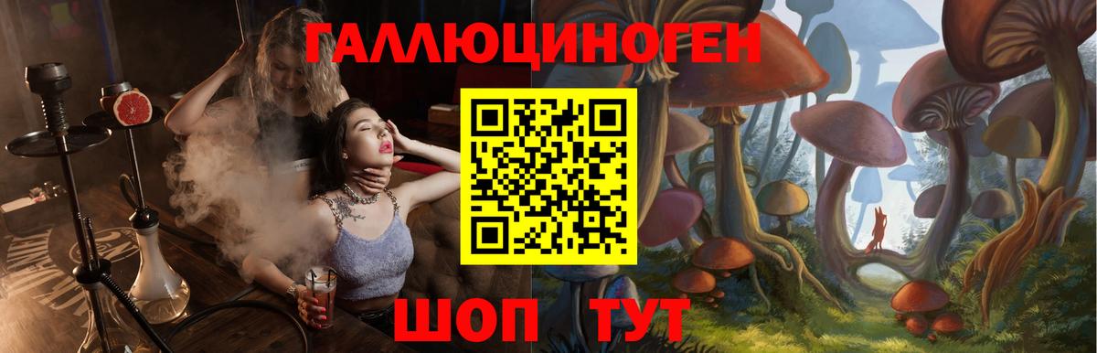 Галлюциногенные грибы мухоморы Спасск-Дальний