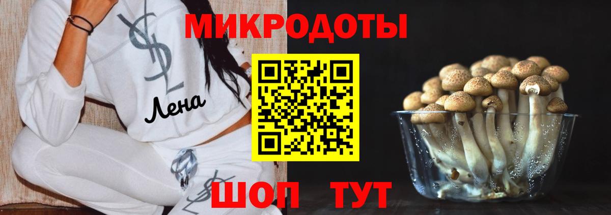 Спасск-Дальний  Псилоцибиновые грибы Psilocybe  Галлюциногенные грибы мицелий  Вход с VPN 